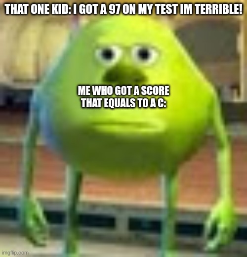 Sully Wazowski | THAT ONE KID: I GOT A 97 ON MY TEST IM TERRIBLE! ME WHO GOT A SCORE THAT EQUALS TO A C: | image tagged in sully wazowski | made w/ Imgflip meme maker