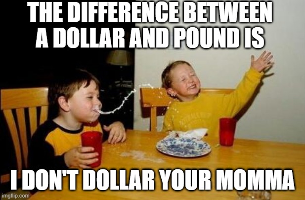 Pound | THE DIFFERENCE BETWEEN A DOLLAR AND POUND IS; I DON'T DOLLAR YOUR MOMMA | image tagged in yo momma so fat | made w/ Imgflip meme maker