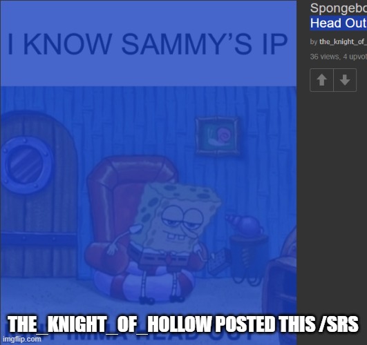 THE_KNIGHT_OF_HOLLOW POSTED THIS /SRS | made w/ Imgflip meme maker