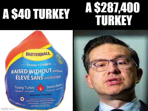 Turkey | A $40 TURKEY; A $287,400  TURKEY | image tagged in turkey | made w/ Imgflip meme maker