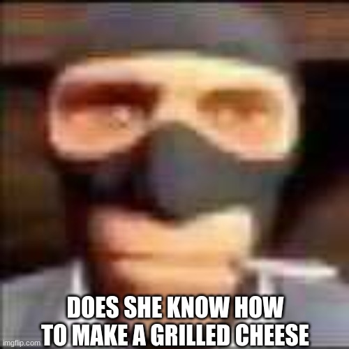 spi | DOES SHE KNOW HOW TO MAKE A GRILLED CHEESE | image tagged in spi | made w/ Imgflip meme maker