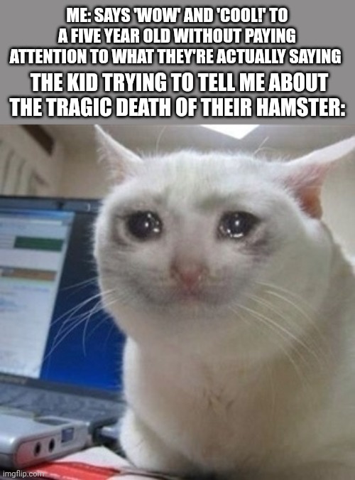 Crying cat | ME: SAYS 'WOW' AND 'COOL!' TO A FIVE YEAR OLD WITHOUT PAYING ATTENTION TO WHAT THEY'RE ACTUALLY SAYING; THE KID TRYING TO TELL ME ABOUT THE TRAGIC DEATH OF THEIR HAMSTER: | image tagged in crying cat | made w/ Imgflip meme maker