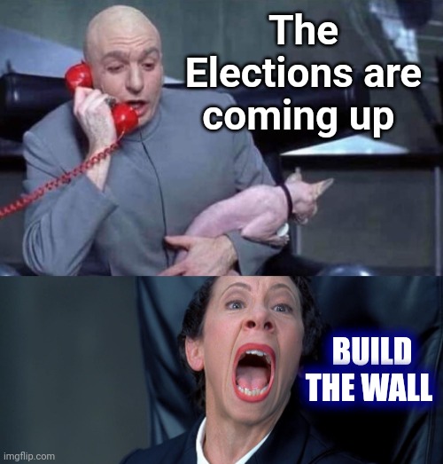 Dr Evil and Frau | The Elections are coming up BUILD THE WALL | image tagged in dr evil and frau | made w/ Imgflip meme maker