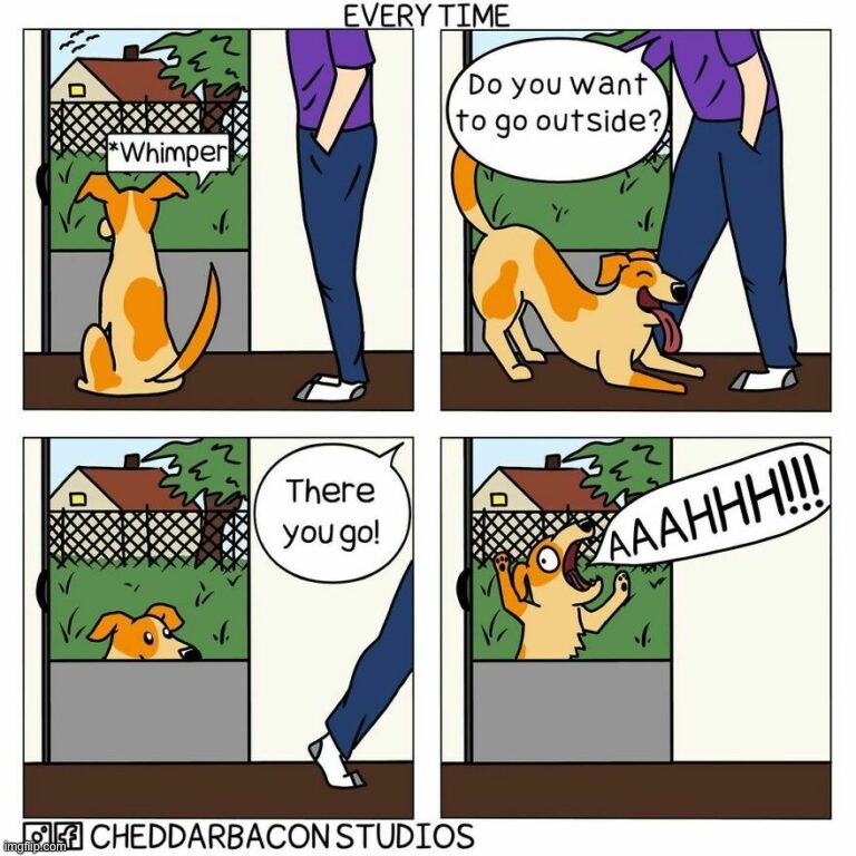 Indecisive | image tagged in dogs,indecisive,comics,funny,memes | made w/ Imgflip meme maker
