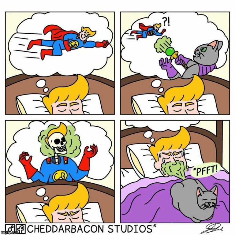What a nightmare | image tagged in superhero,cat,funny,memes,comics | made w/ Imgflip meme maker