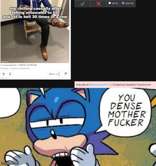 blud, your own post in that image is "harassment" in itself | image tagged in sonic you dense motherfucker | made w/ Imgflip meme maker