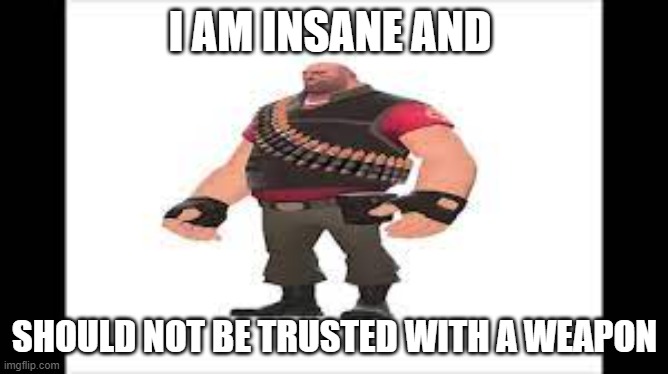 imma deep fry this | I AM INSANE AND; SHOULD NOT BE TRUSTED WITH A WEAPON | made w/ Imgflip meme maker