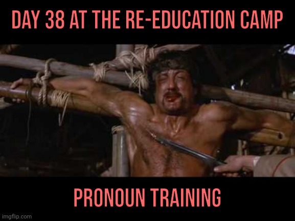 What are your pronouns?!? | Day 38 at the re-education camp; Pronoun training | image tagged in memes | made w/ Imgflip meme maker