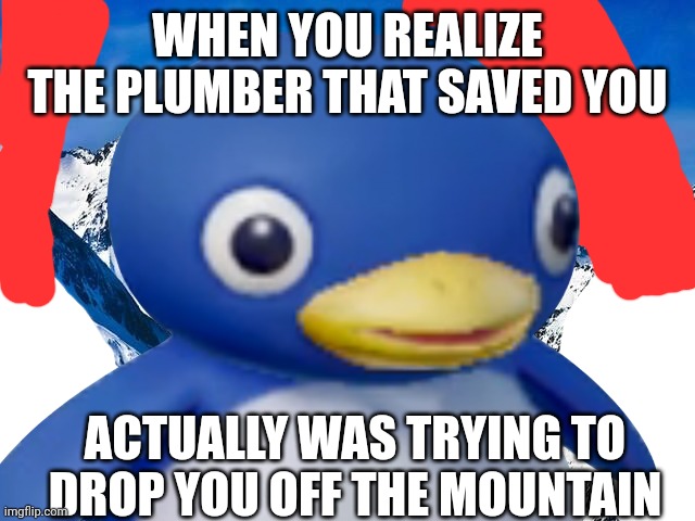 Cool Cool Mountain Moment | WHEN YOU REALIZE THE PLUMBER THAT SAVED YOU; ACTUALLY WAS TRYING TO DROP YOU OFF THE MOUNTAIN | image tagged in super mario 64,memes | made w/ Imgflip meme maker