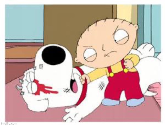 Stewie Where's My Money | image tagged in stewie where's my money | made w/ Imgflip meme maker