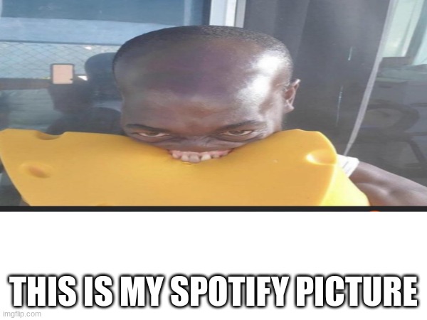 THIS IS MY SPOTIFY PICTURE | made w/ Imgflip meme maker