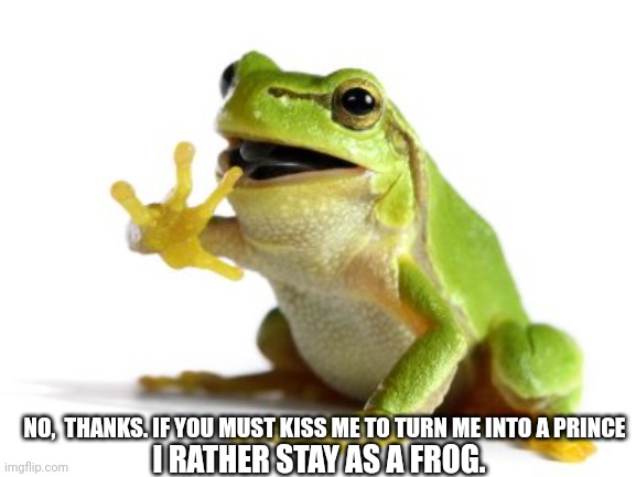 How 'bout no frog | NO,  THANKS. IF YOU MUST KISS ME TO TURN ME INTO A PRINCE; I RATHER STAY AS A FROG. | image tagged in how 'bout no frog | made w/ Imgflip meme maker