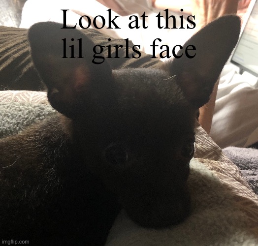 Look at this lil girls face | made w/ Imgflip meme maker