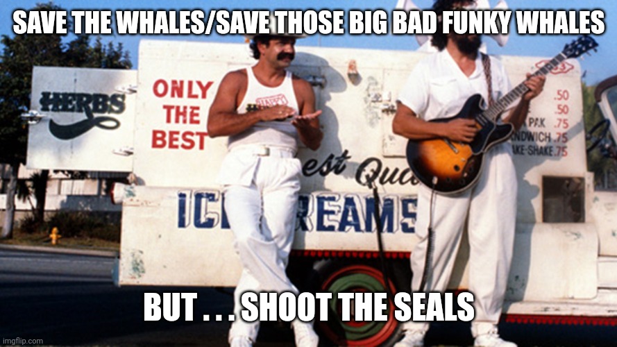 Cheech and Chong Ice Cream Van | SAVE THE WHALES/SAVE THOSE BIG BAD FUNKY WHALES BUT . . . SHOOT THE SEALS | image tagged in cheech and chong ice cream van | made w/ Imgflip meme maker