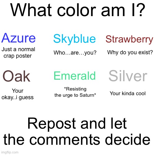 What color am I (My version) Blank Meme Template