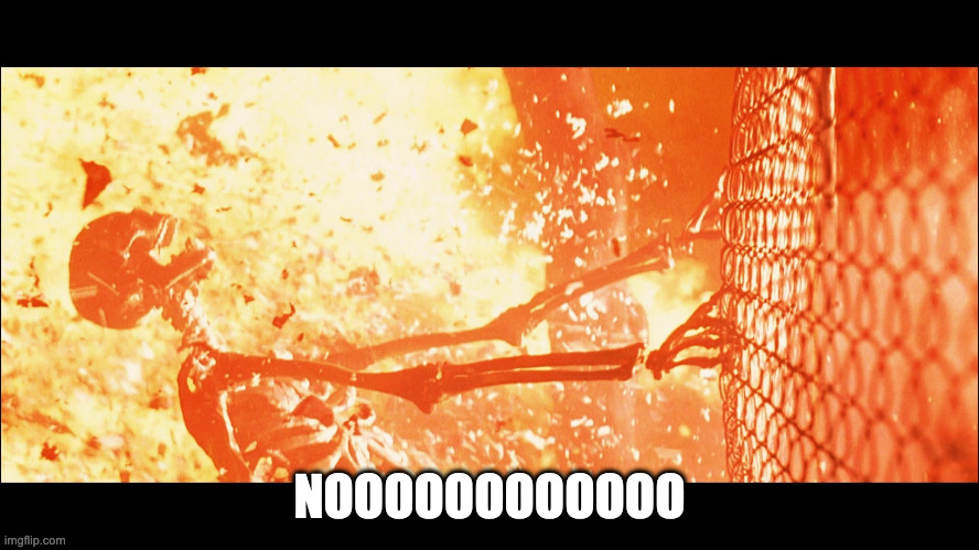 terminator 2 sarah skeleton | NOOOOOOOOOOOO | image tagged in terminator 2 sarah skeleton | made w/ Imgflip meme maker