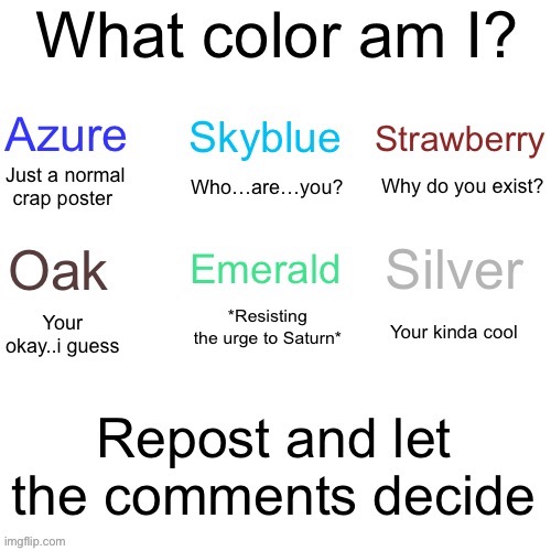 my new template | image tagged in what color am i my version,msmg | made w/ Imgflip meme maker