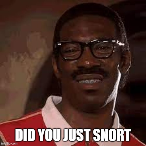 Snorting | DID YOU JUST SNORT | image tagged in eddie murphy cringe face 2,snort,snort face,snorted | made w/ Imgflip meme maker