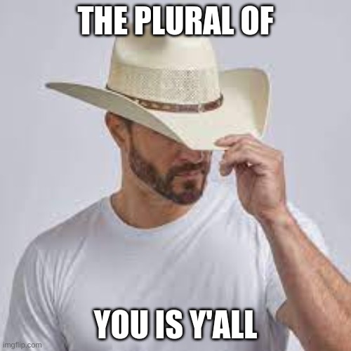 y'all | THE PLURAL OF; YOU IS Y'ALL | image tagged in country | made w/ Imgflip meme maker