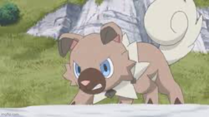 Caption this | image tagged in angry rockruff | made w/ Imgflip meme maker
