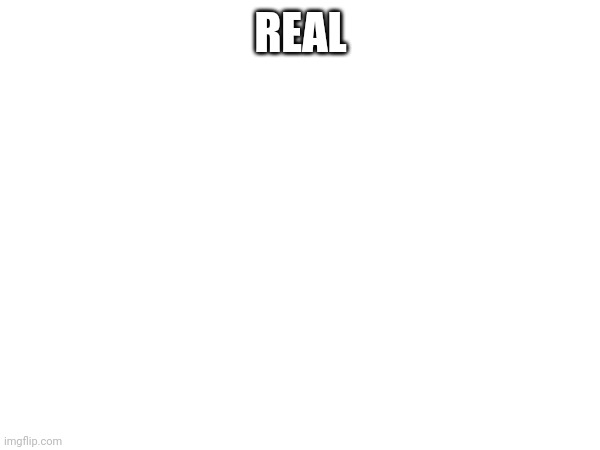 Real | REAL | image tagged in real | made w/ Imgflip meme maker