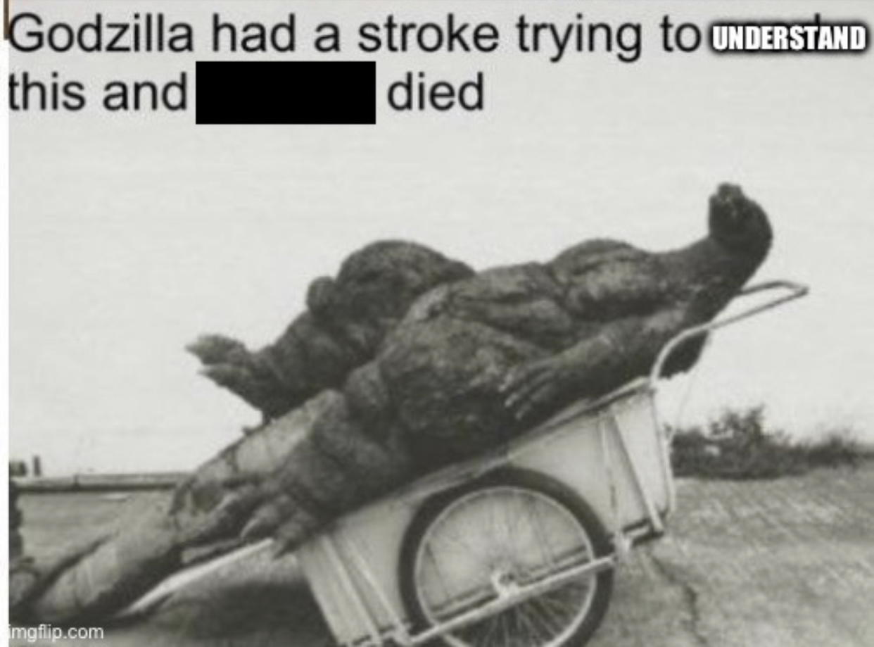 Godzilla had a stroke trying to understand this and died Blank Meme Template