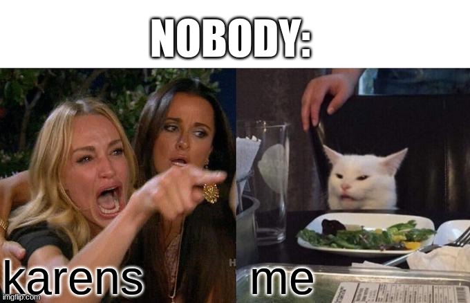 Woman Yelling At Cat Meme | NOBODY:; karens; me | image tagged in memes,woman yelling at cat | made w/ Imgflip meme maker