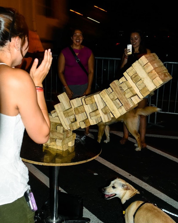 Jenga and dog Blank Meme Template