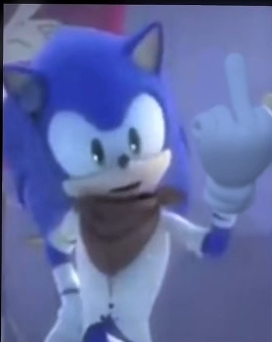 Boom Sonic fliping you off Blank Meme Template