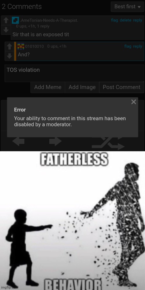 image tagged in fatherless behavior | made w/ Imgflip meme maker