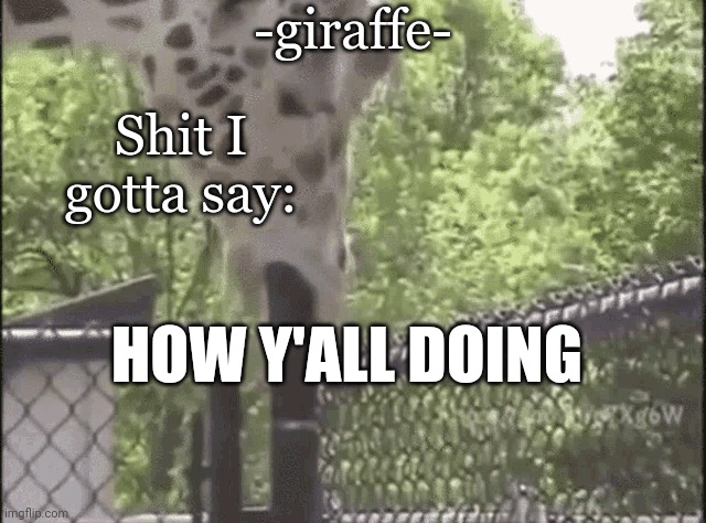 -giraffe- | HOW Y'ALL DOING | image tagged in -giraffe- | made w/ Imgflip meme maker