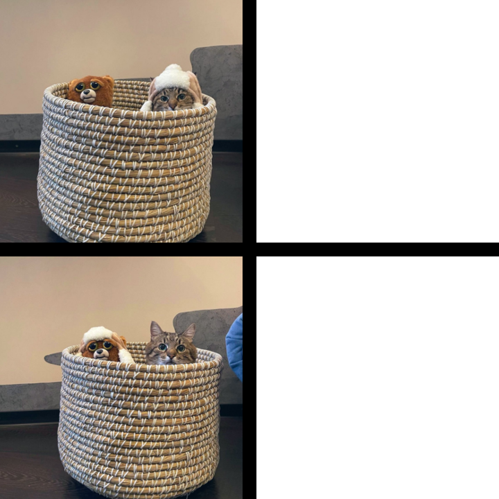 Stepan cat Blank Meme Template