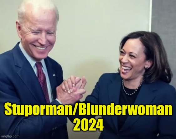 Biden and Harris | Stuporman/Blunderwoman
2024 | image tagged in biden and harris | made w/ Imgflip meme maker