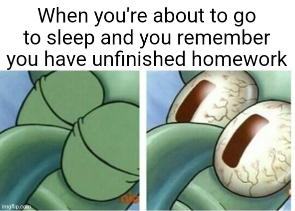 True | When you're about to go to sleep and you remember you have unfinished homework | image tagged in memes,funny,funny memes,dank memes,so true memes,relatable | made w/ Imgflip meme maker