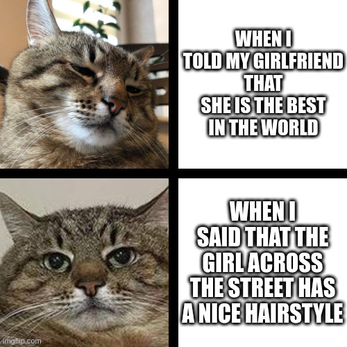 Me, my girlfriend and the girl opposite | WHEN I TOLD MY GIRLFRIEND THAT SHE IS THE BEST IN THE WORLD; WHEN I SAID THAT THE GIRL ACROSS THE STREET HAS A NICE HAIRSTYLE | image tagged in stepan cat,relationships | made w/ Imgflip meme maker