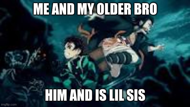 My life vs urs | ME AND MY OLDER BRO; HIM AND IS LIL SIS | image tagged in my life vs urs | made w/ Imgflip meme maker