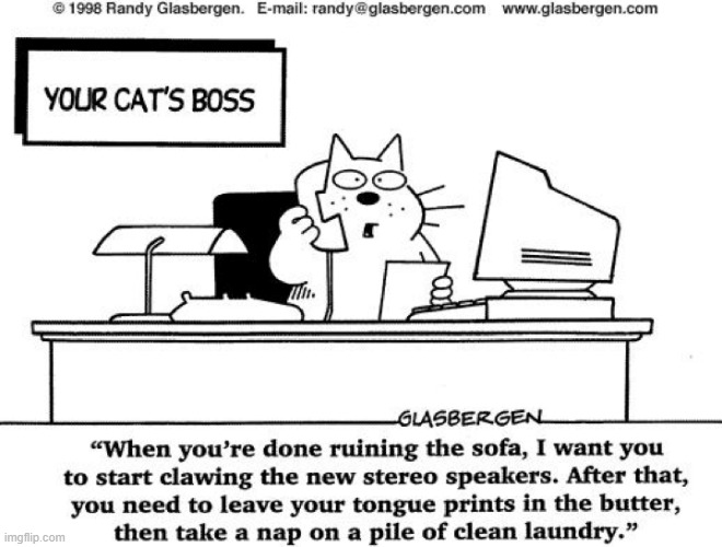 image tagged in memes,comics/cartoons,your,cats,boss,instructions | made w/ Imgflip meme maker