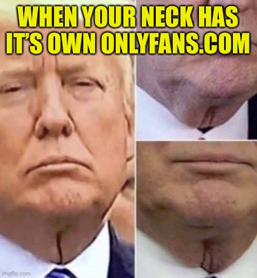 Onlyfans | WHEN YOUR NECK HAS IT’S OWN ONLYFANS.COM | image tagged in trump neck | made w/ Imgflip meme maker