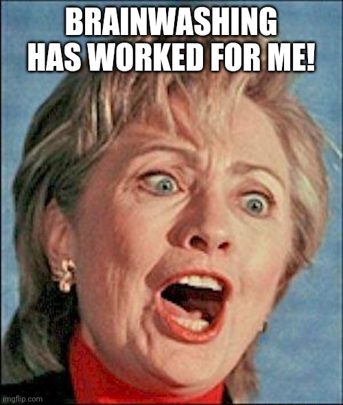 Ugly Hillary Clinton | BRAINWASHING HAS WORKED FOR ME! | image tagged in ugly hillary clinton | made w/ Imgflip meme maker