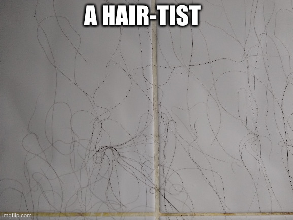 A hair-tist | A HAIR-TIST | image tagged in hair,artist,art,oh wow are you actually reading these tags | made w/ Imgflip meme maker
