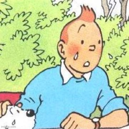 Tintin crying | image tagged in tintin crying | made w/ Imgflip meme maker