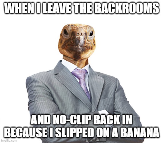 y u bully me (dont litter kids) | WHEN I LEAVE THE BACKROOMS; AND NO-CLIP BACK IN BECAUSE I SLIPPED ON A BANANA | image tagged in why you bully me | made w/ Imgflip meme maker