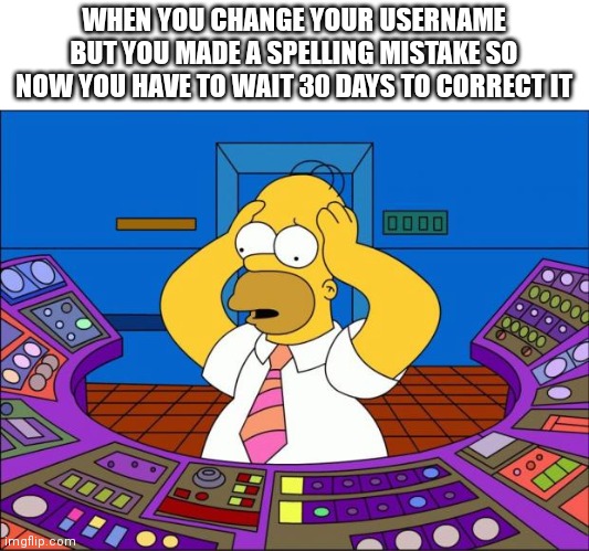 Homer Panic | WHEN YOU CHANGE YOUR USERNAME BUT YOU MADE A SPELLING MISTAKE SO NOW YOU HAVE TO WAIT 30 DAYS TO CORRECT IT | image tagged in homer panic | made w/ Imgflip meme maker