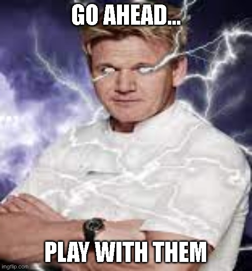 gordon ramsay | GO AHEAD... PLAY WITH THEM | image tagged in gordon ramsay | made w/ Imgflip meme maker