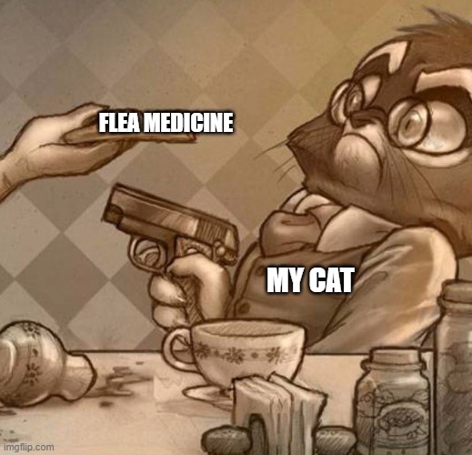 It goes without saying that my cat, Lily, does not like flea treatments. | FLEA MEDICINE; MY CAT | image tagged in mordecai gun,lackadaisy | made w/ Imgflip meme maker