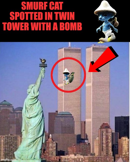 Twin towers | SMURF CAT SPOTTED IN TWIN TOWER WITH A BOMB | image tagged in twin towers,smurf,cat,bomb | made w/ Imgflip meme maker