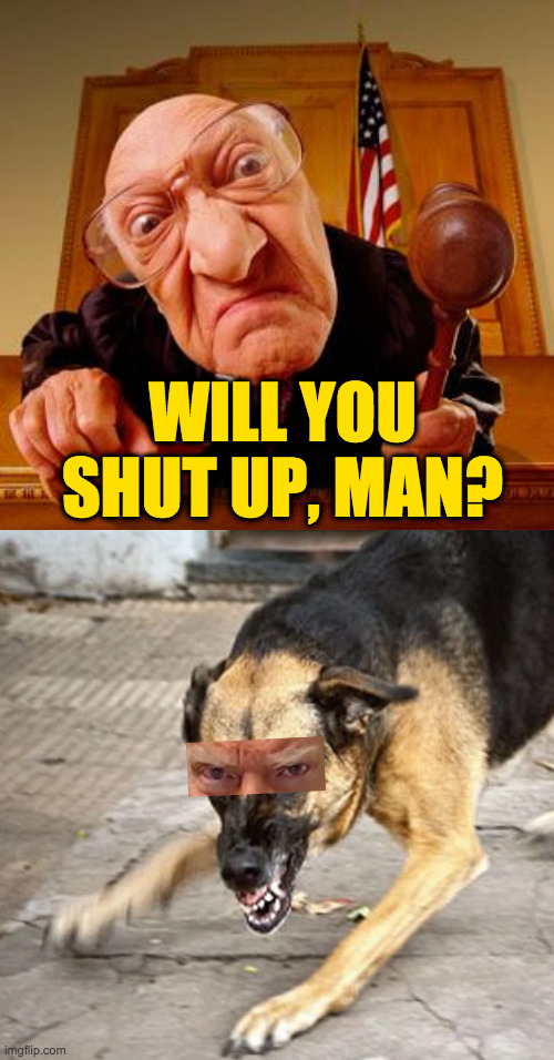 Rabid dog. | WILL YOU SHUT UP, MAN? | image tagged in mean judge,memes,rabid dog | made w/ Imgflip meme maker