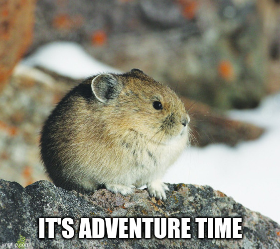 It's adventure time | IT'S ADVENTURE TIME | image tagged in tseyvo | made w/ Imgflip meme maker
