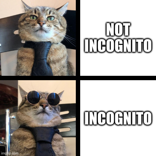 Incognito | NOT INCOGNITO; INCOGNITO | image tagged in stepan cat | made w/ Imgflip meme maker