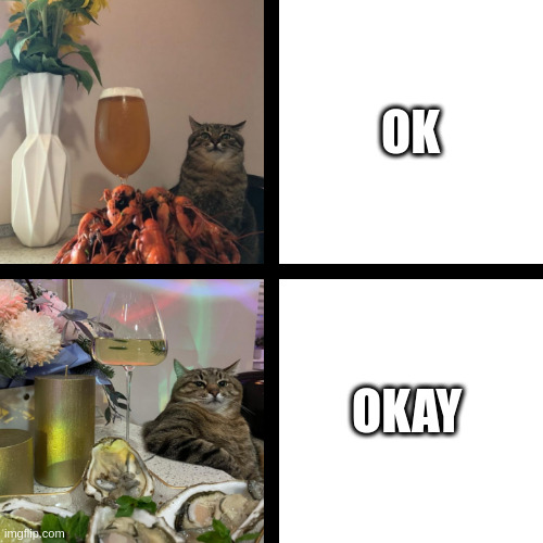Okay | OK; OKAY | image tagged in stepan cat | made w/ Imgflip meme maker